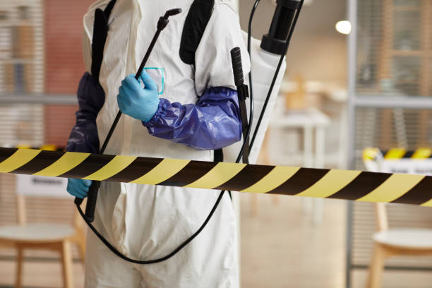 Professional Hoarding Cleanup technician working in Simla, CO